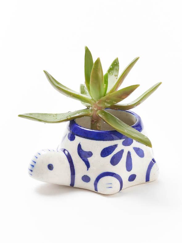 Lalita Baby Turtle Succulent Planter - Hand Painted for wholesale by Matr Boomie Fair Trade