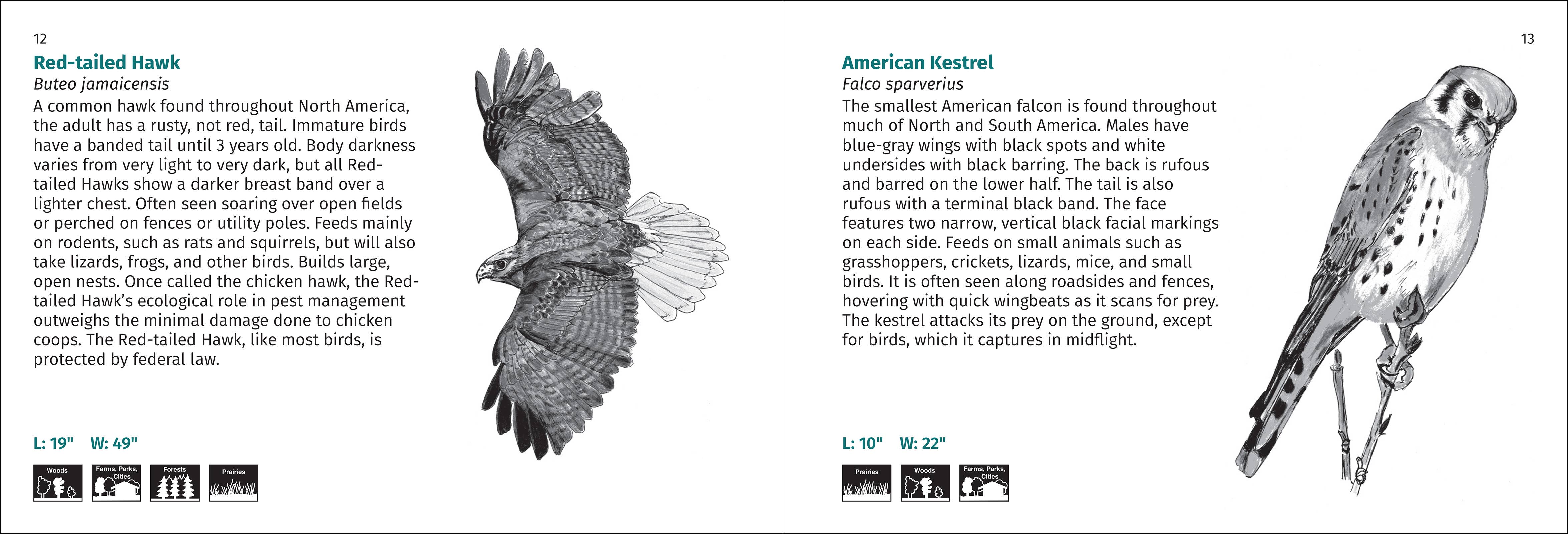 AdventureKEEN - Wholesale Nature & Outdoors - Bird Finder 2e11