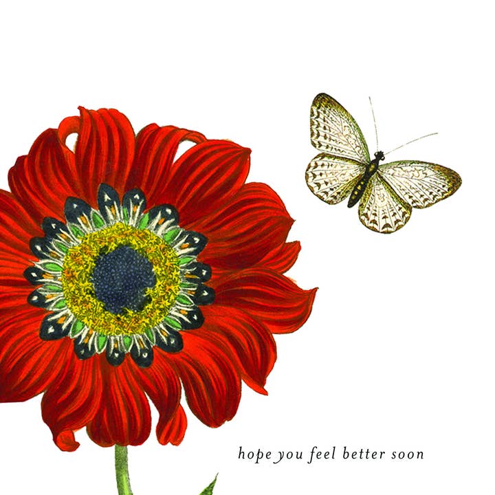 P. Flynn Design / Phun House - Wholesale Get Well Card - Hope you feel better soon (flower) 5x7 greeting card