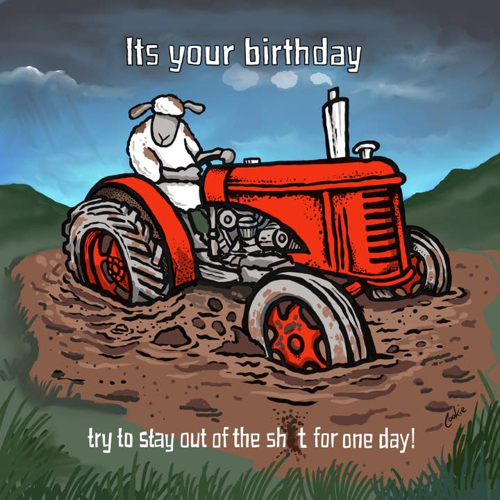 Flockers | Immer in Deep Sh*t! | Geburtstagskarten für den Großhandel von Cookie Cartoonery