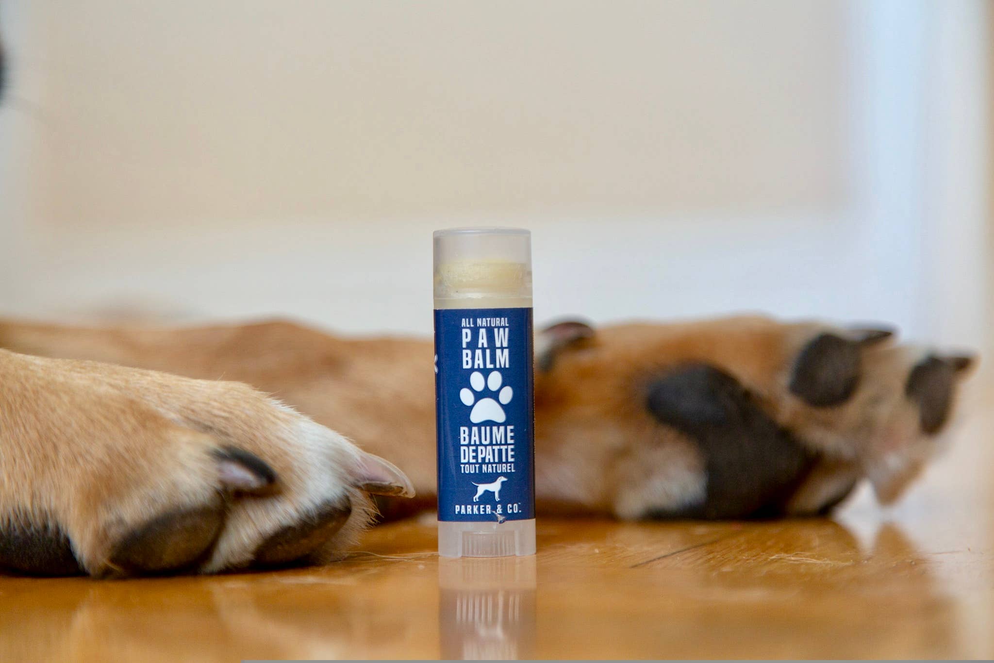 Parker & Co. - Wholesale Pet Paw Protection - Fast-Healing Paw Balm1