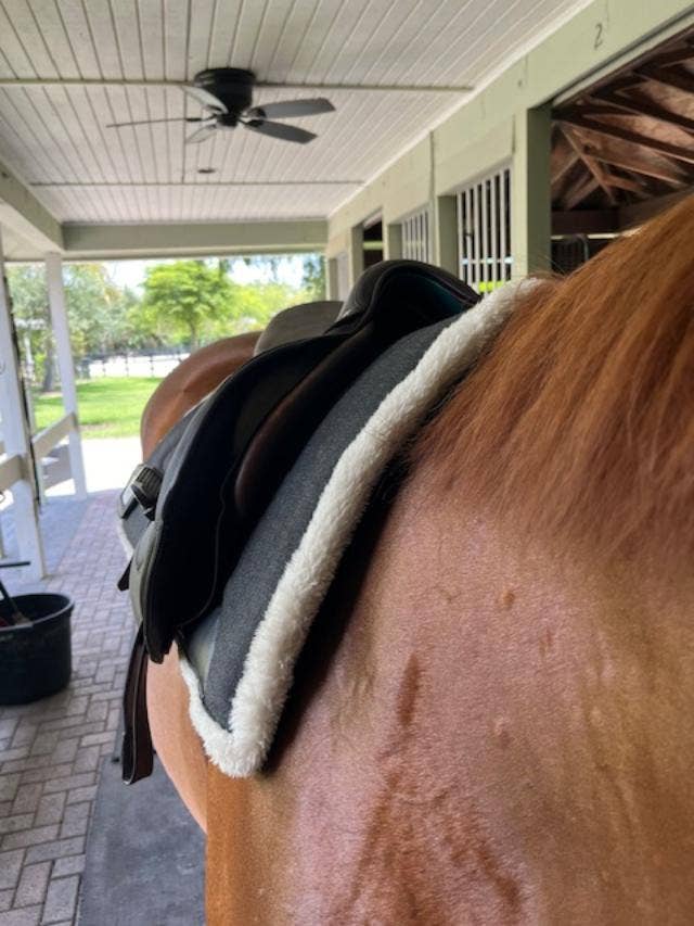 DziaSport - Wholesale Horseback Riding Gear - Happy-Back Saddle Pad1