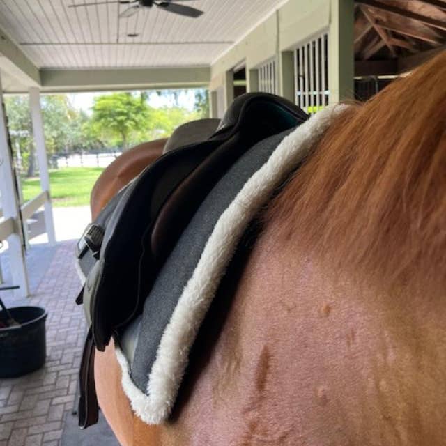 DziaSport - Wholesale Horseback riding gear - Happy-Back Saddle Pad1
