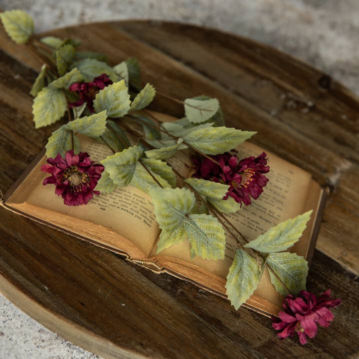 Tige de marguerite bordeaux de 34 pouces pour la vente par Ragon House