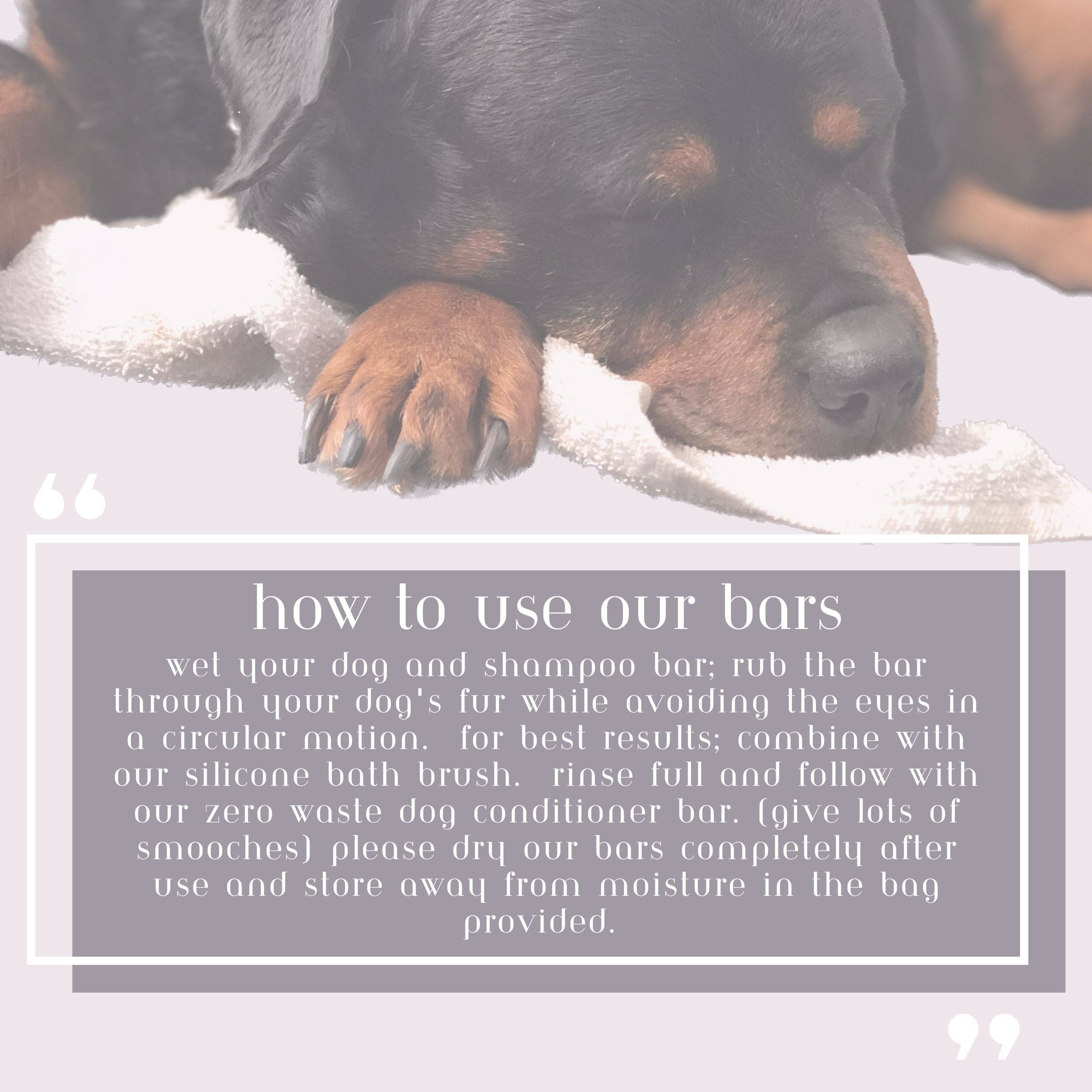 This Little Piggy and Company - Wholesale Pet shampoo – Dog - Zero Waste Dog Shampoo Bar 3.2oz - Beach Babe2