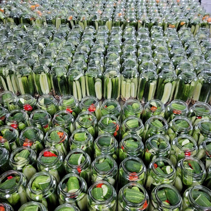 Kilhaney's Pickles – Legumes em conserva por atacado – Dillicious Pickles de Alho, 16oz5