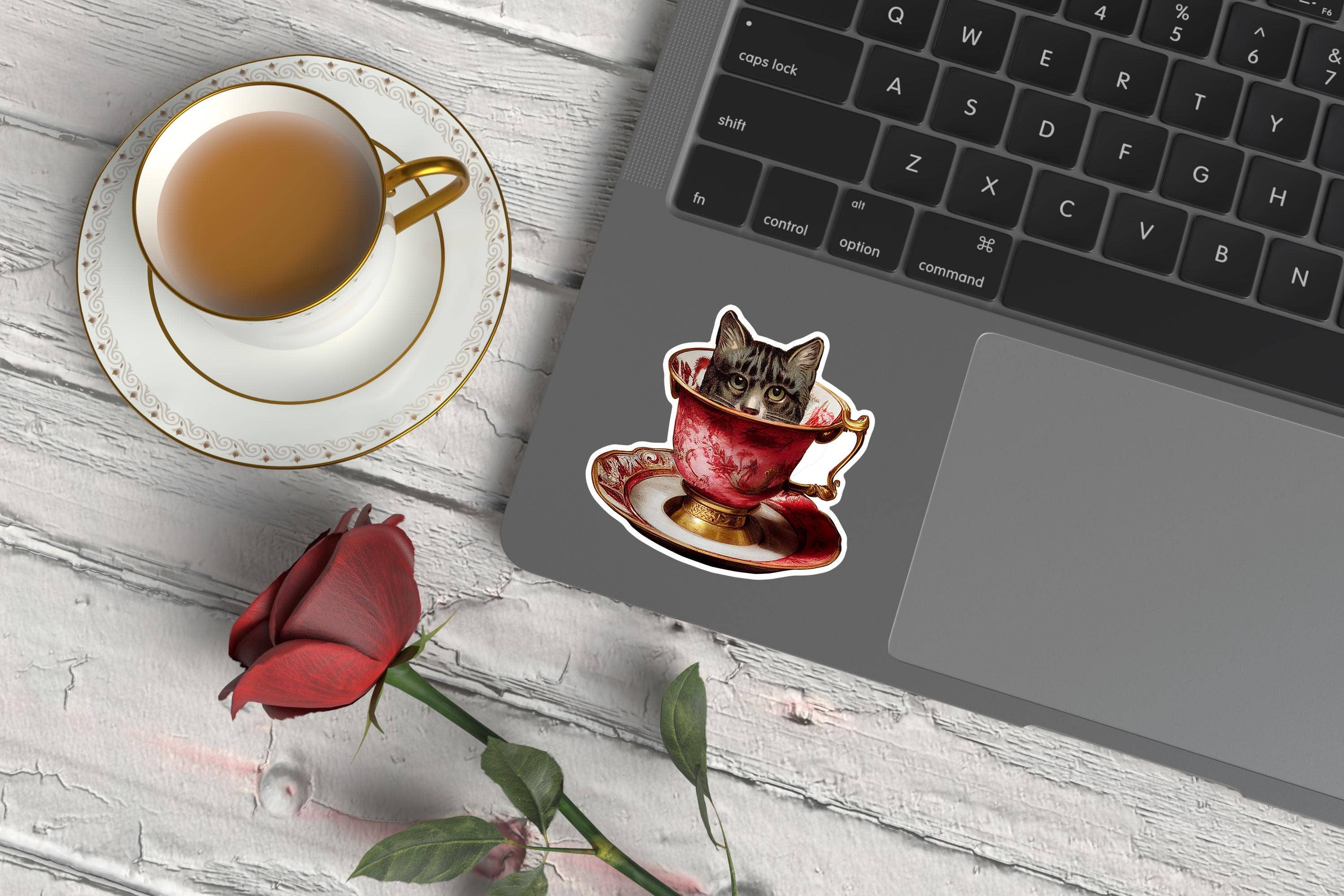 Moonbeam Mercantile - Wholesale Sticker - Vintage Cat in a Teacup Sticker2