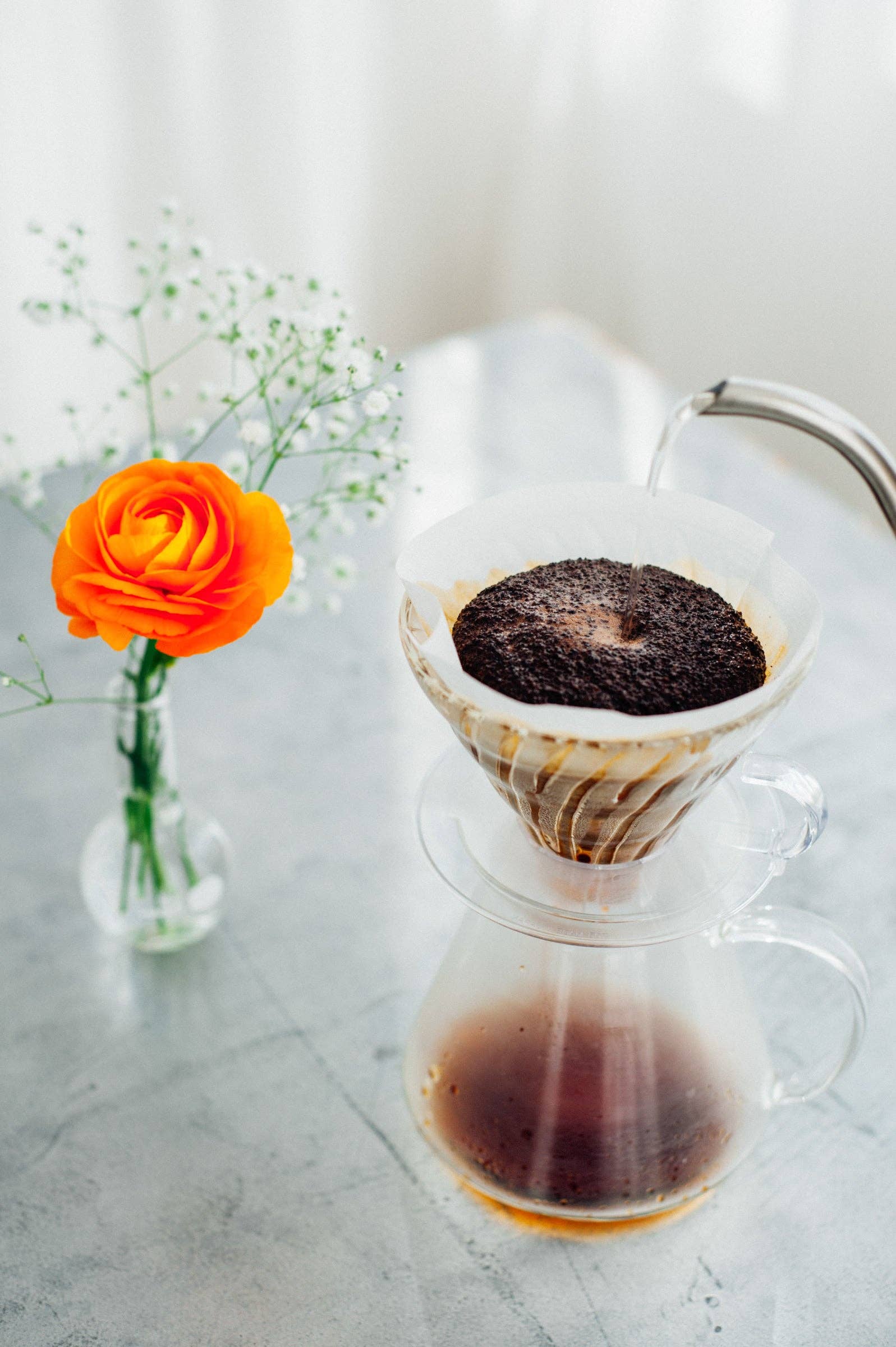 HARIO USA - Wholesale Pour Over & Dripper - "Simply Hario" V60 Glass Brewing Kit 600mL5