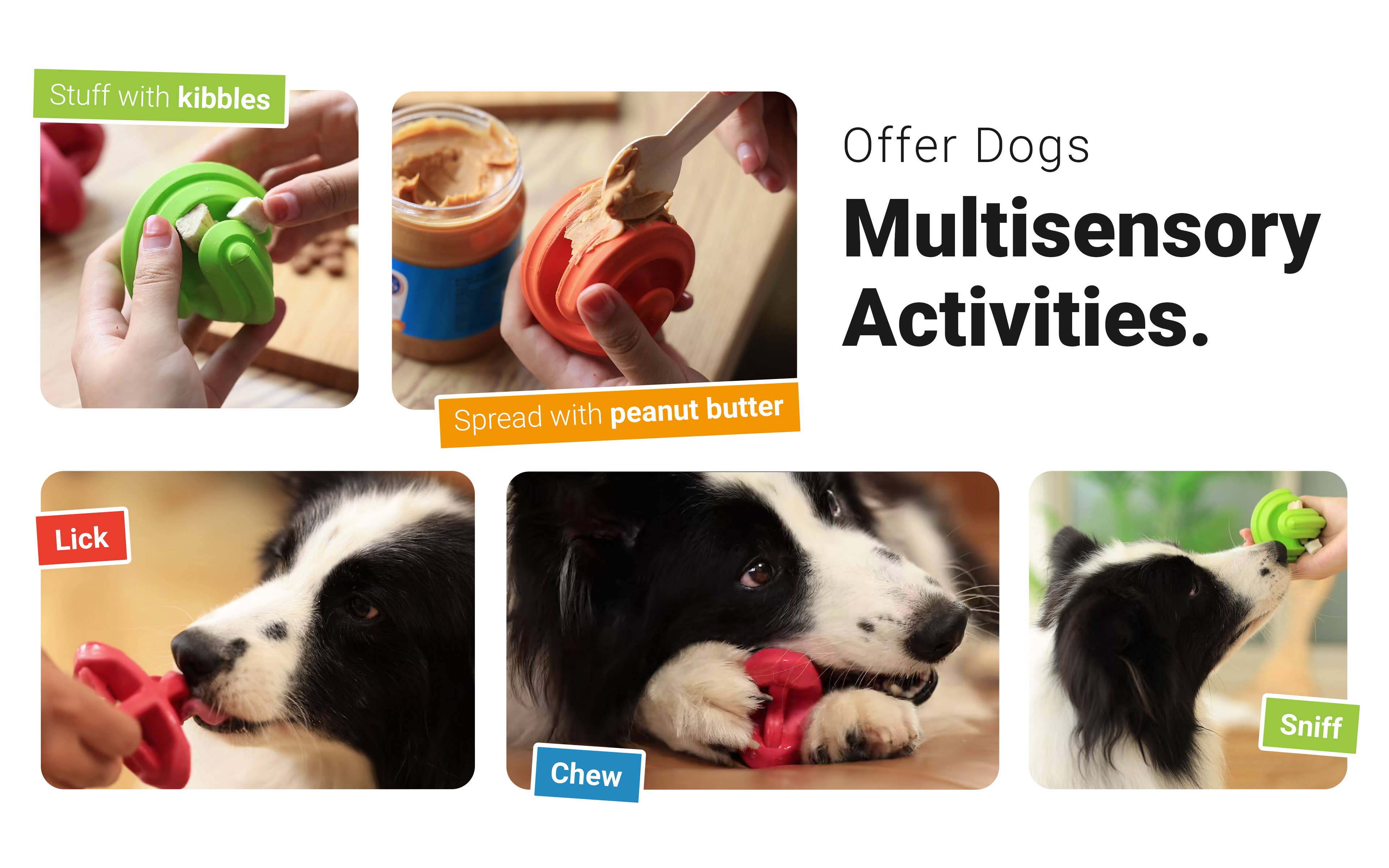 Only An Ocean Europe - Wholesale Pet Chew Toy - Dog - PetDreamHouse ChewtasticGeo-Toys & Geo-Gentle40