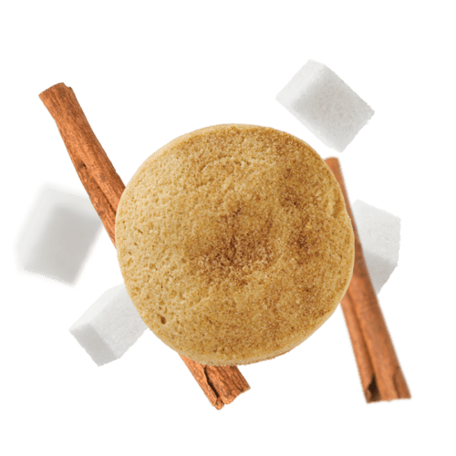 WOW Baking Company - Vendita all'ingrosso Biscotti - Snickerdoodle Biscotti Bakery Singles senza glutine3