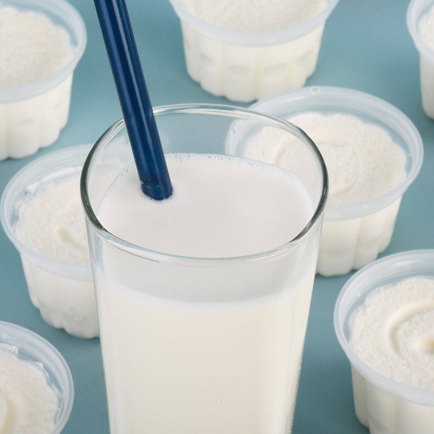 Earth Fed Muscle - Wholesale Protein/Superfood Powder - Whey Back Vanilla Grass-Fed Whey Protein3