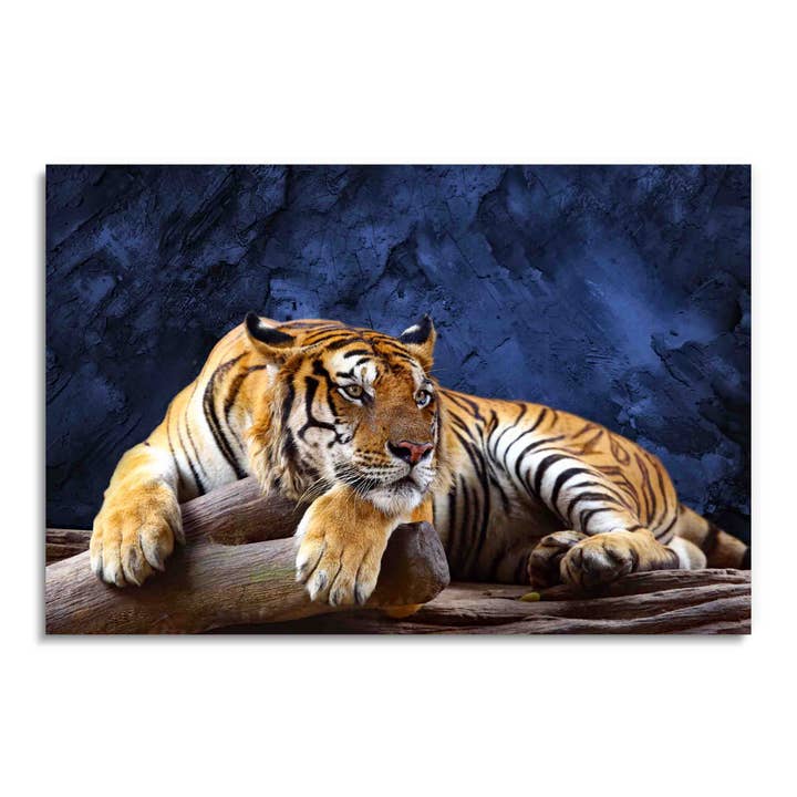 Portrait de tigre, art mural acrylique pour la vente par ART BLVD