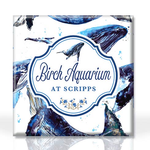 Collectie magneten onder de zee voor wholesale door Matrix