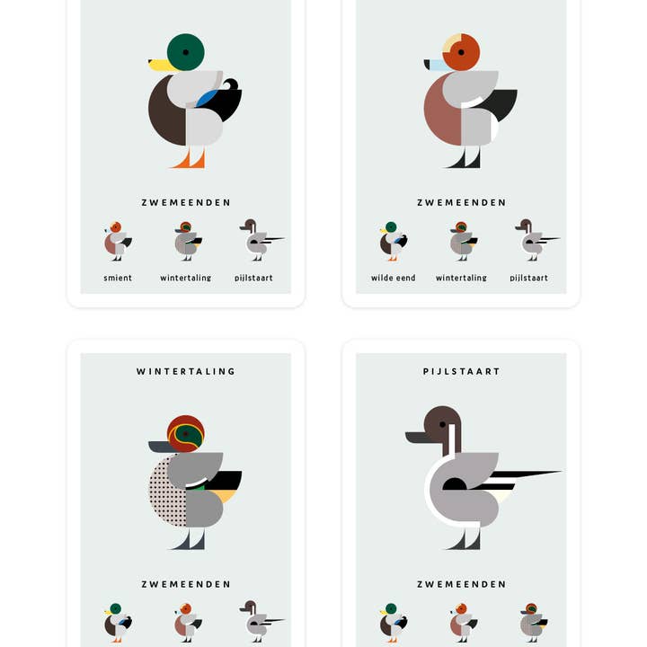 Eendje - Wholesale Card Game - Quartet 'Duckling for you'2