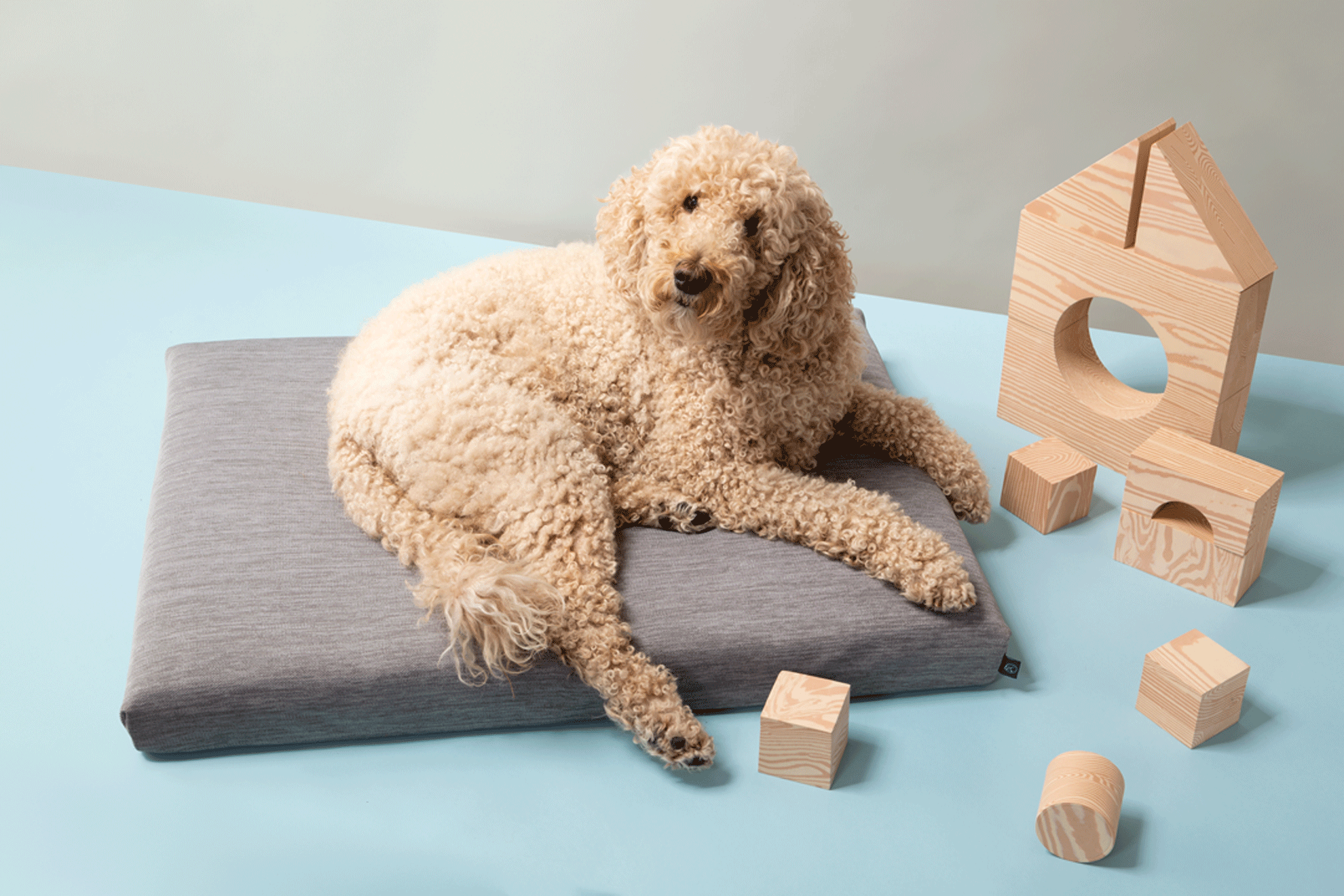 LAY LO™ Pets - Wholesale Pet Bed - Dog - LAY LO Pets - Modern Gray Dog Bed1