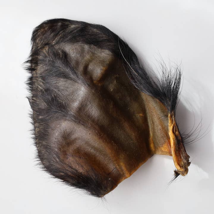 Water Buffalo Hearz - 10pk Retail Pouch for wholesale by QT Dog, LLC