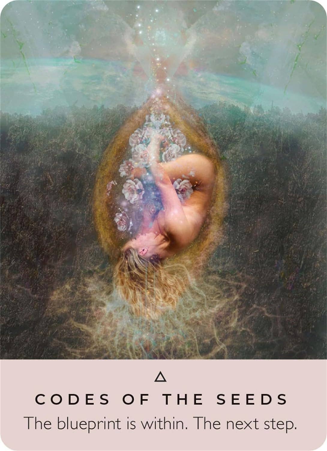 Cardshouse - Wholesale Tarot Cards - The Rose Pocket Oracle Cards Hay House2