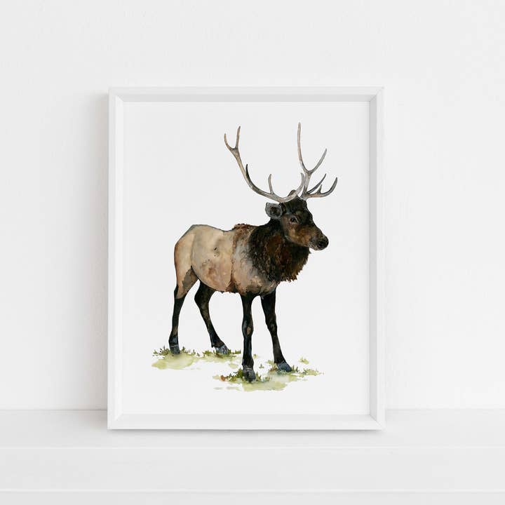 Cozy Elk Print for wholesale by Jennie Kilcup Watercolors