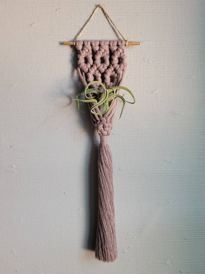 Air Plant Hanger - Honeycomb - Mink for wholesale by Mother of Pearl Handmade Goods