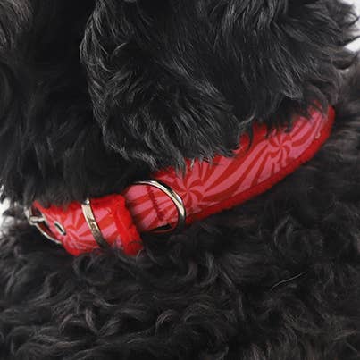 Ginger Faux Fur for wholesale by Daisy by Shelby