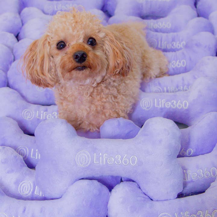 Premium Promotional Dog Toys for wholesale by Doggie and Me Boutique