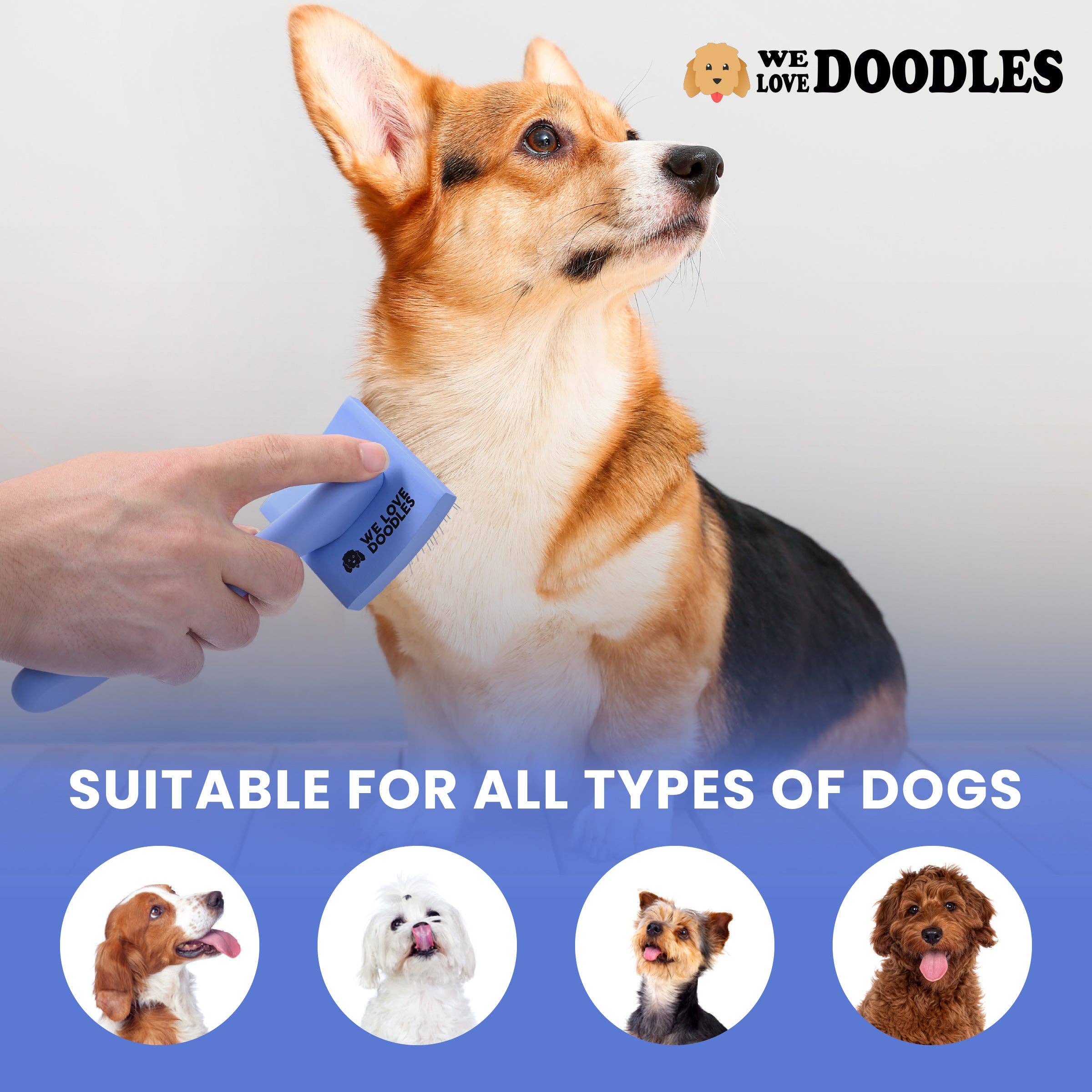 We Love Doodles - Wholesale Pet Brush - Cat/Dog - Curved Slicker Brushes6