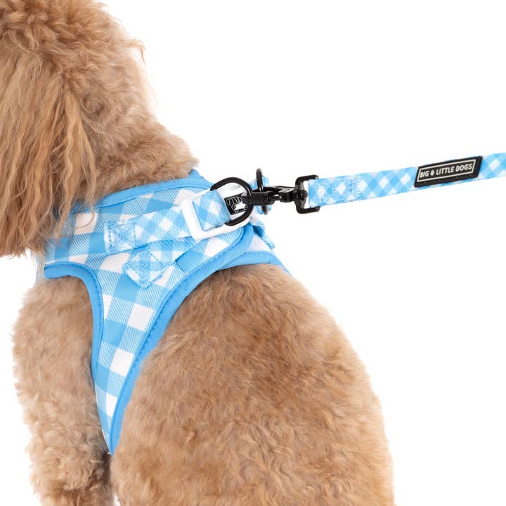 Big and Little Dogs - Wholesale Pet harness – Dog - STEP-IN DOG HARNESS: Blueberry Gingham7