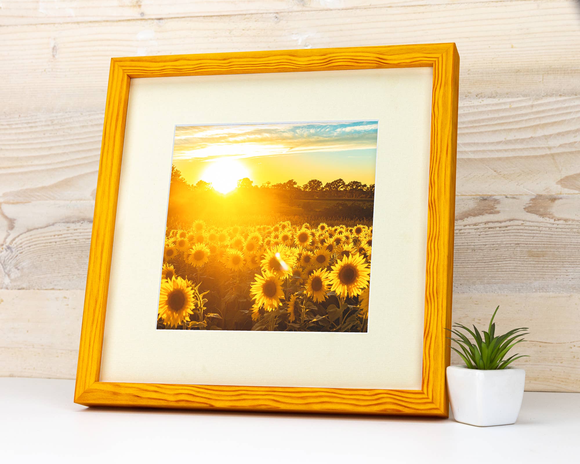 SIA EventFrame – wholesale Bildram – Tunn kant furu lövträ bildram, handgjord mattad ram6