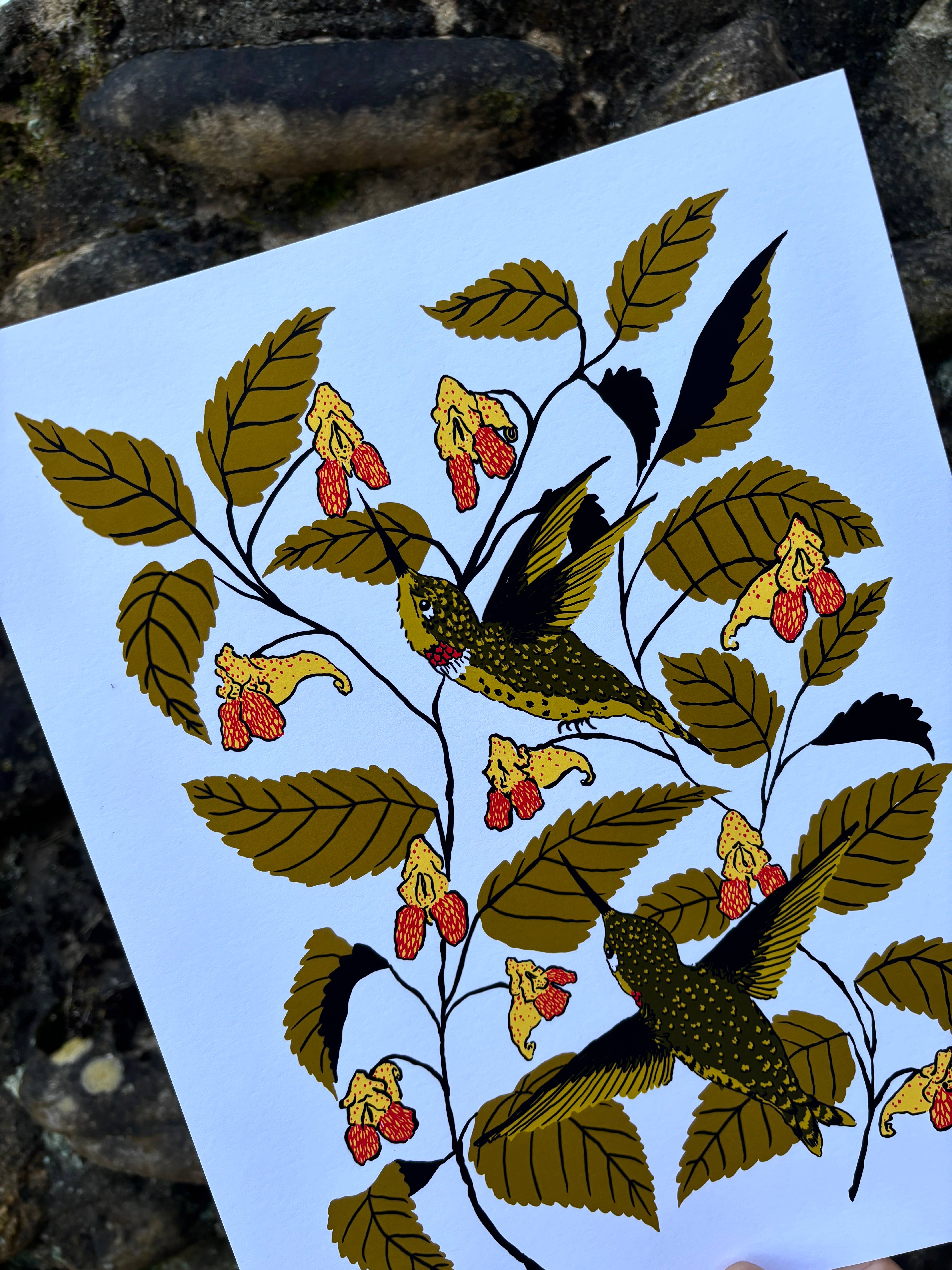 Needlebone, LLC - Wholesale Art Print - Jewelweed - 14x11 Print1