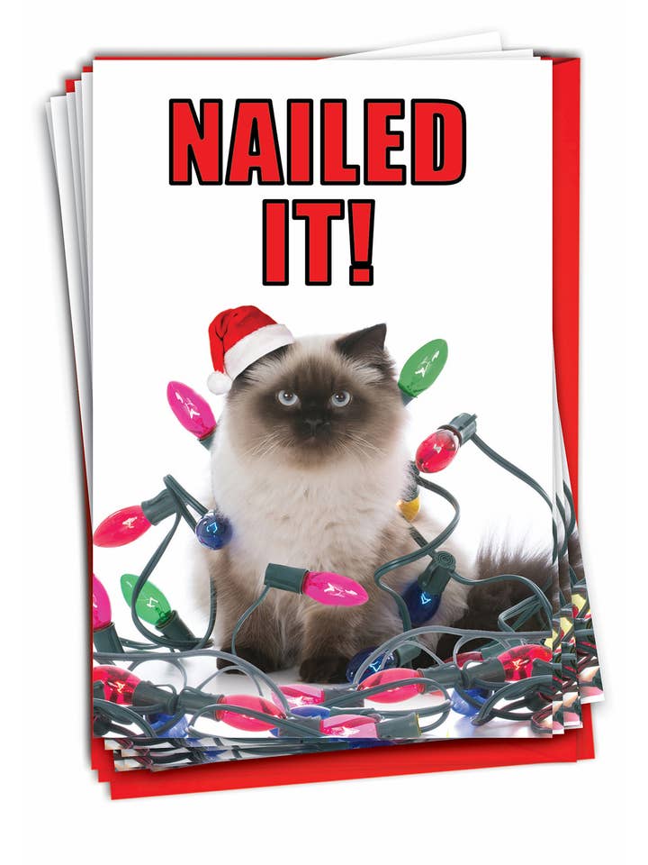 Box of 12 Christmas Card - Nailed It for wholesale by NobleWorks
