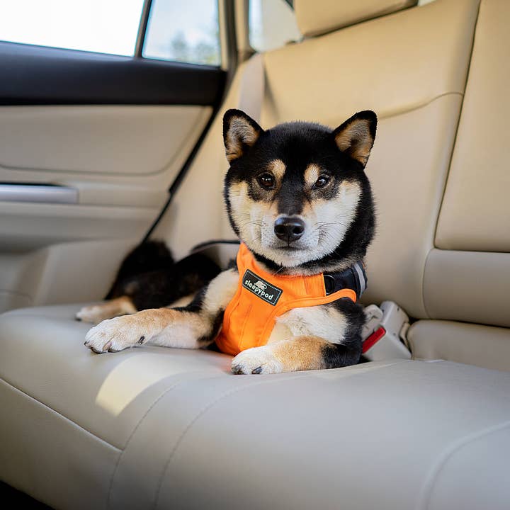 Sleepypod - Wholesale Pet Harness - Dog - Clickit Terrain Plus Car Harness