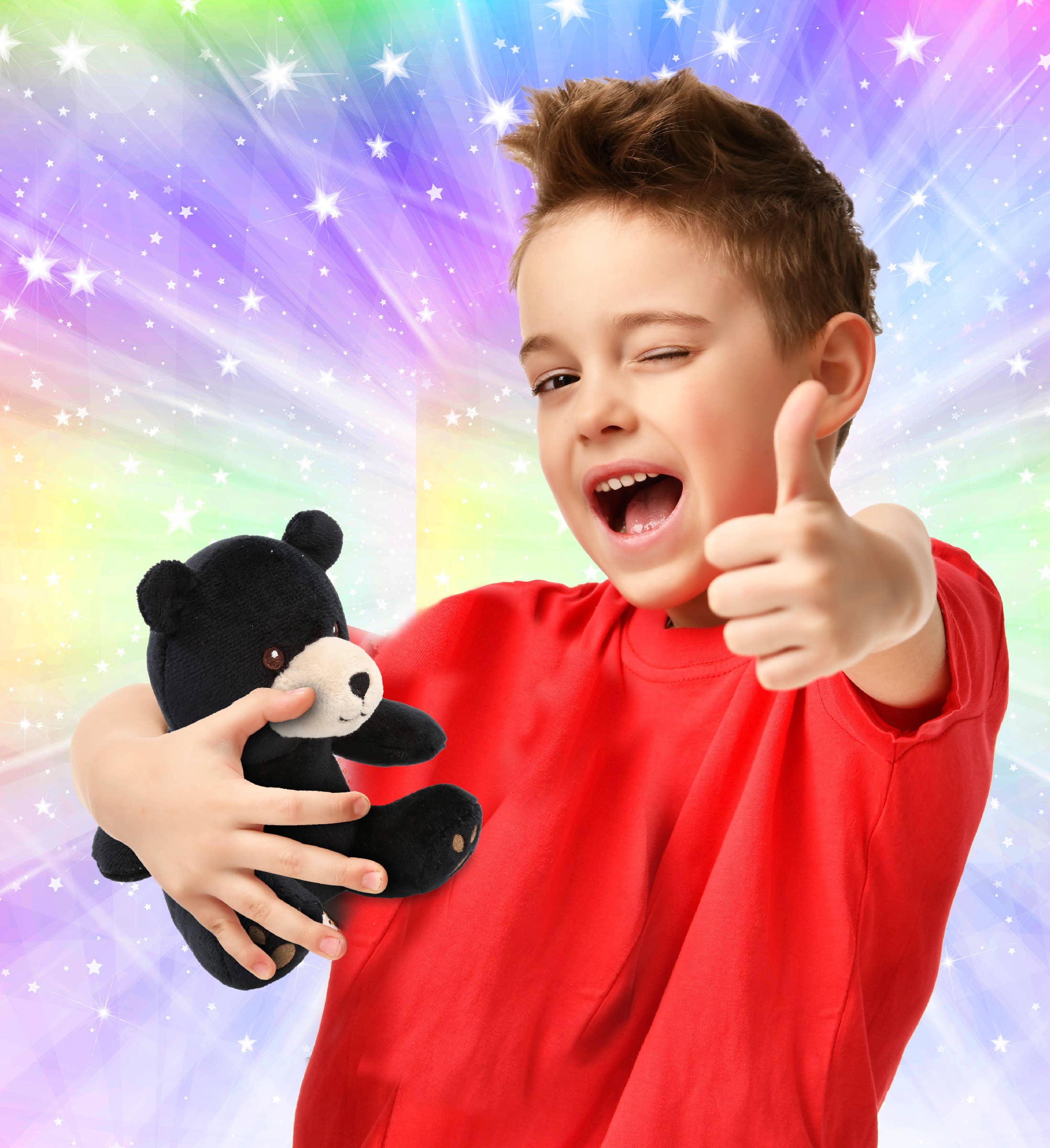 Cota Global - Wholesale Stuffed/Plush Toy - Kids & Baby - 6" Plush - Black Bear1