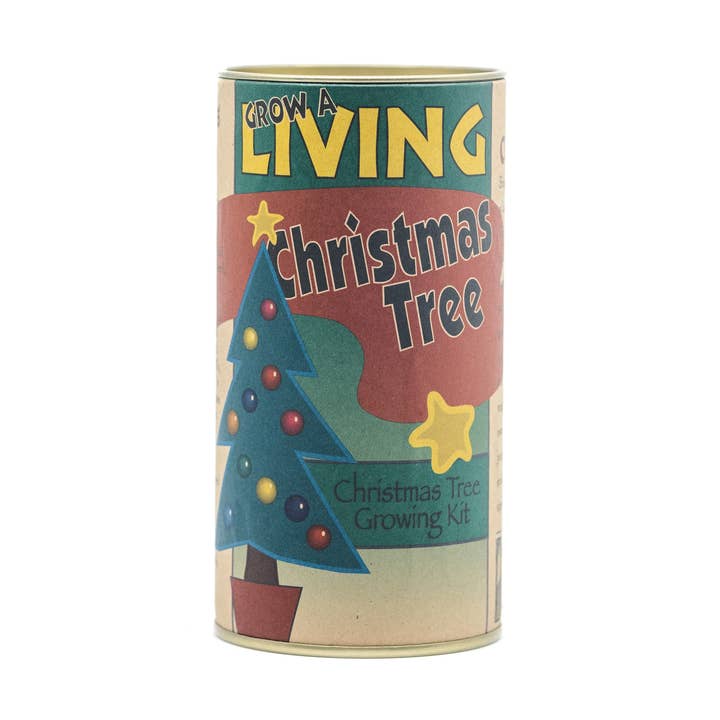 Living Christmas Tree | Seed Grow Kit for wholesale by The Jonsteen Company