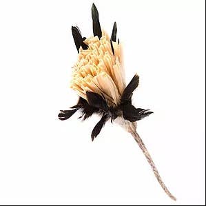 Natural Cat Toy - Vendita all'ingrosso Giocattolo - Gatti - Teaser giocattolo lungo in argento con piume di mais — manico 40 cm