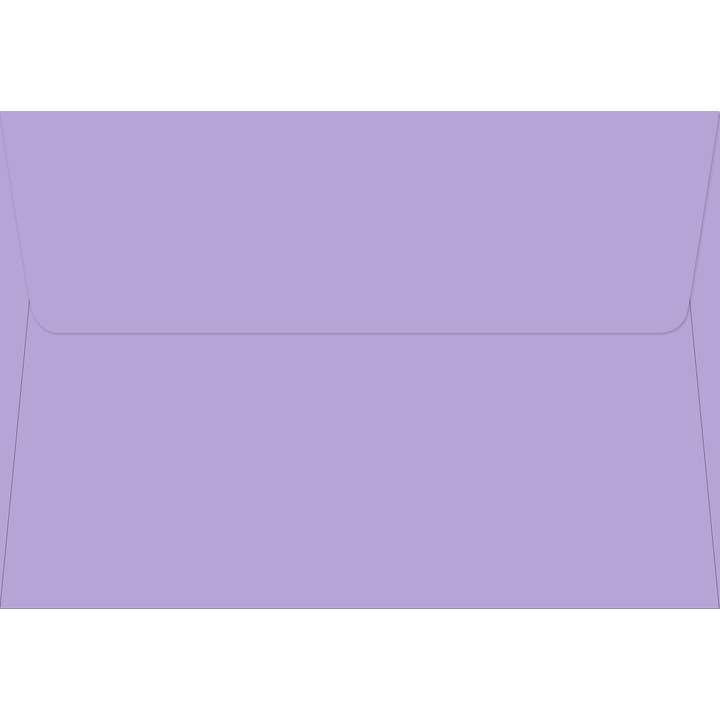 Peter Pauper Press - Wholesale Stationery/Notecard Set - Birds and Berries Note Cards1