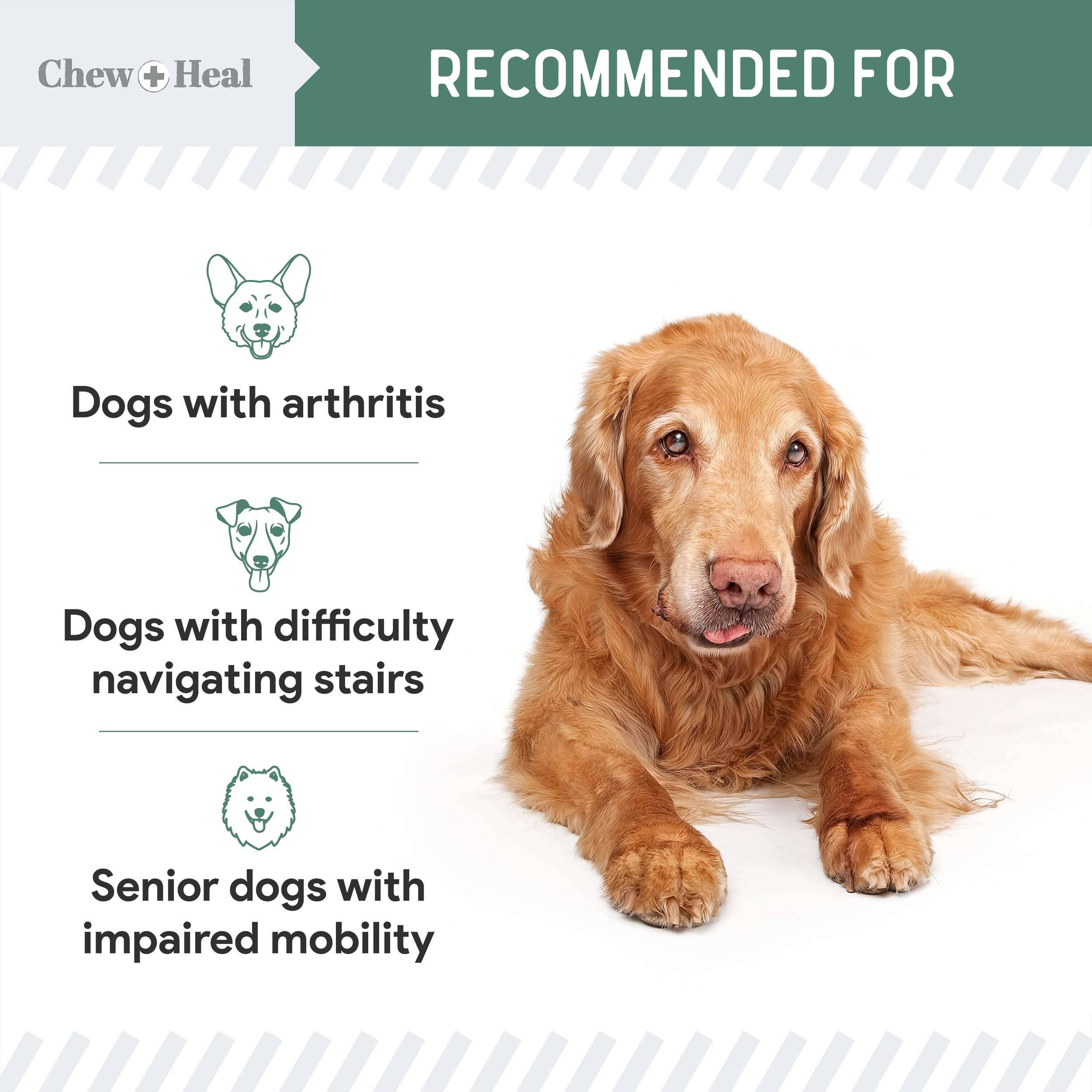 Chew + Heal - Wholesale Pet Supplement - Dog - Senior Advanced Hip and Joint Soft Chews - Upgraded Formula6