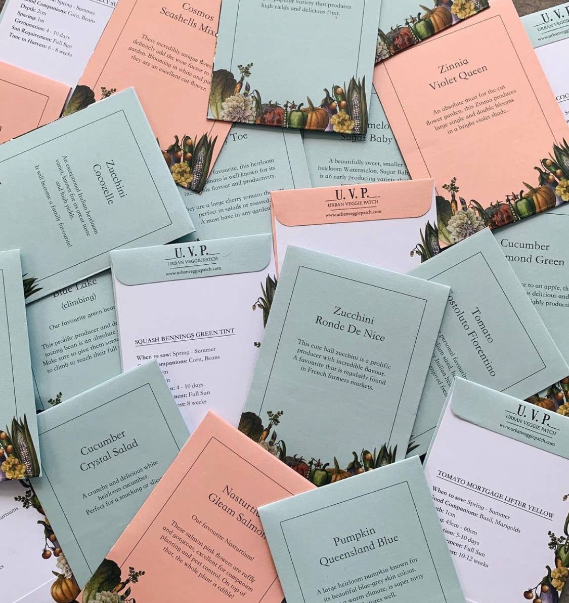 Urban Veggie Patch - Wholesale Plant seeds - Winter Garden in a Bag1