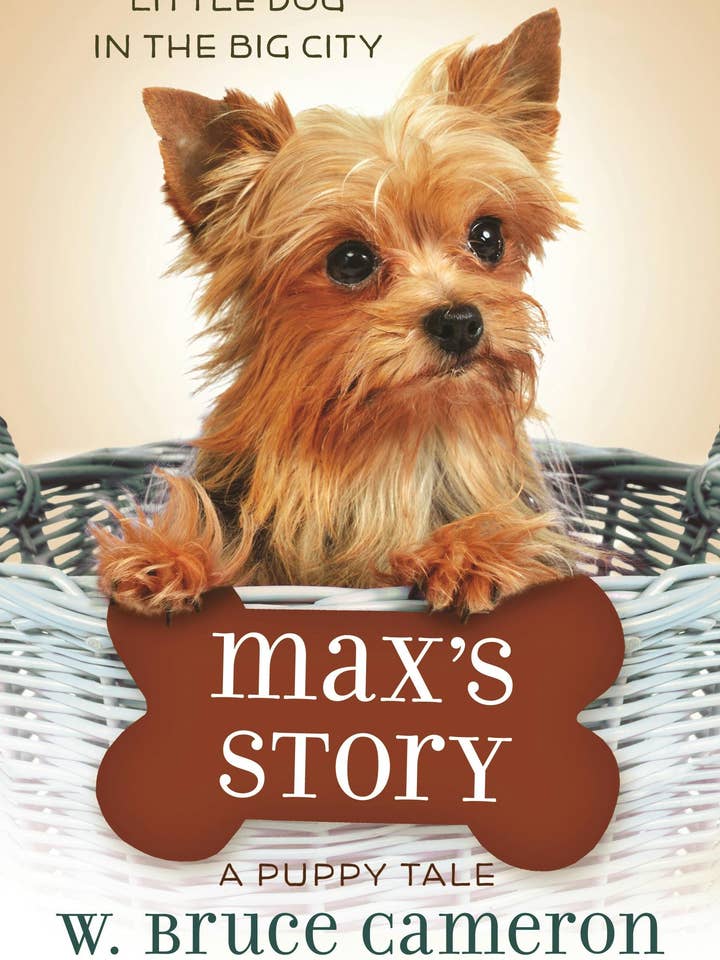 Max's Story: A Puppy Tale #1 for wholesale by Macmillan Publishers