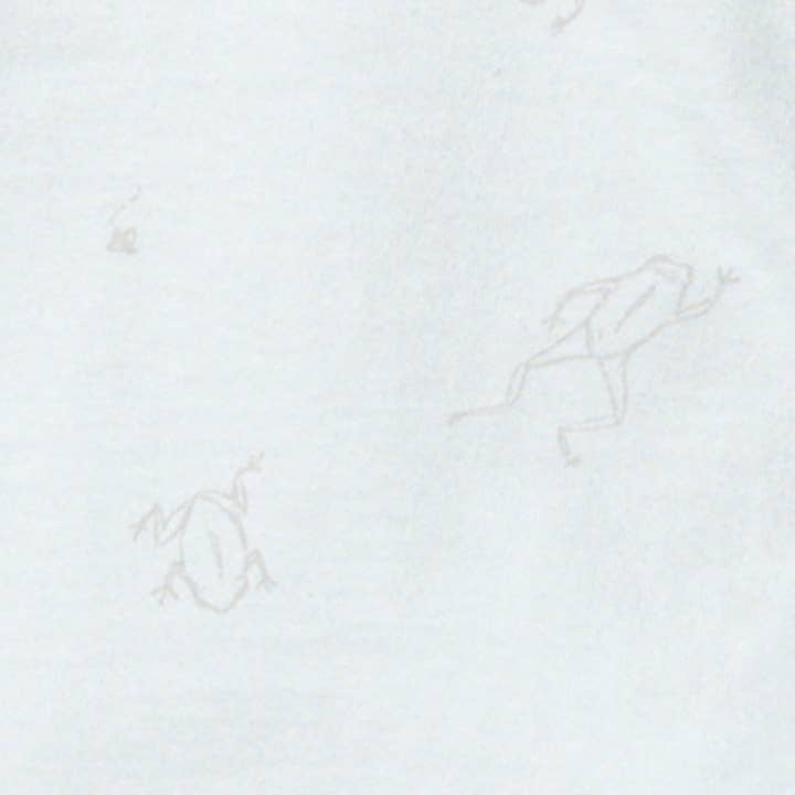 Burt's Bees Baby - Wholesale Clothing Set - Baby - Frog Baby Boy 3-Piece Bodysuit & Pants Set2