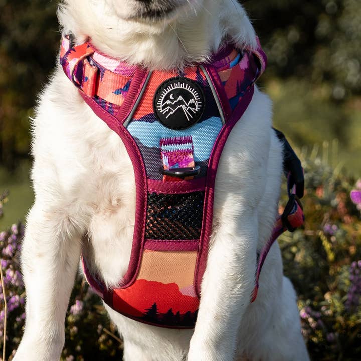 Apparel by Unleashed - Wholesale Tuig voor huisdieren - Hond - Sedona Skies Harnas0