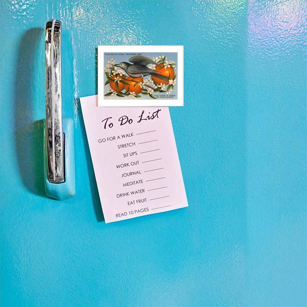 Found Image Press - Wholesale Magnet - Magnet FL-78 Mockingbird, Orange Blossoms, Florida1