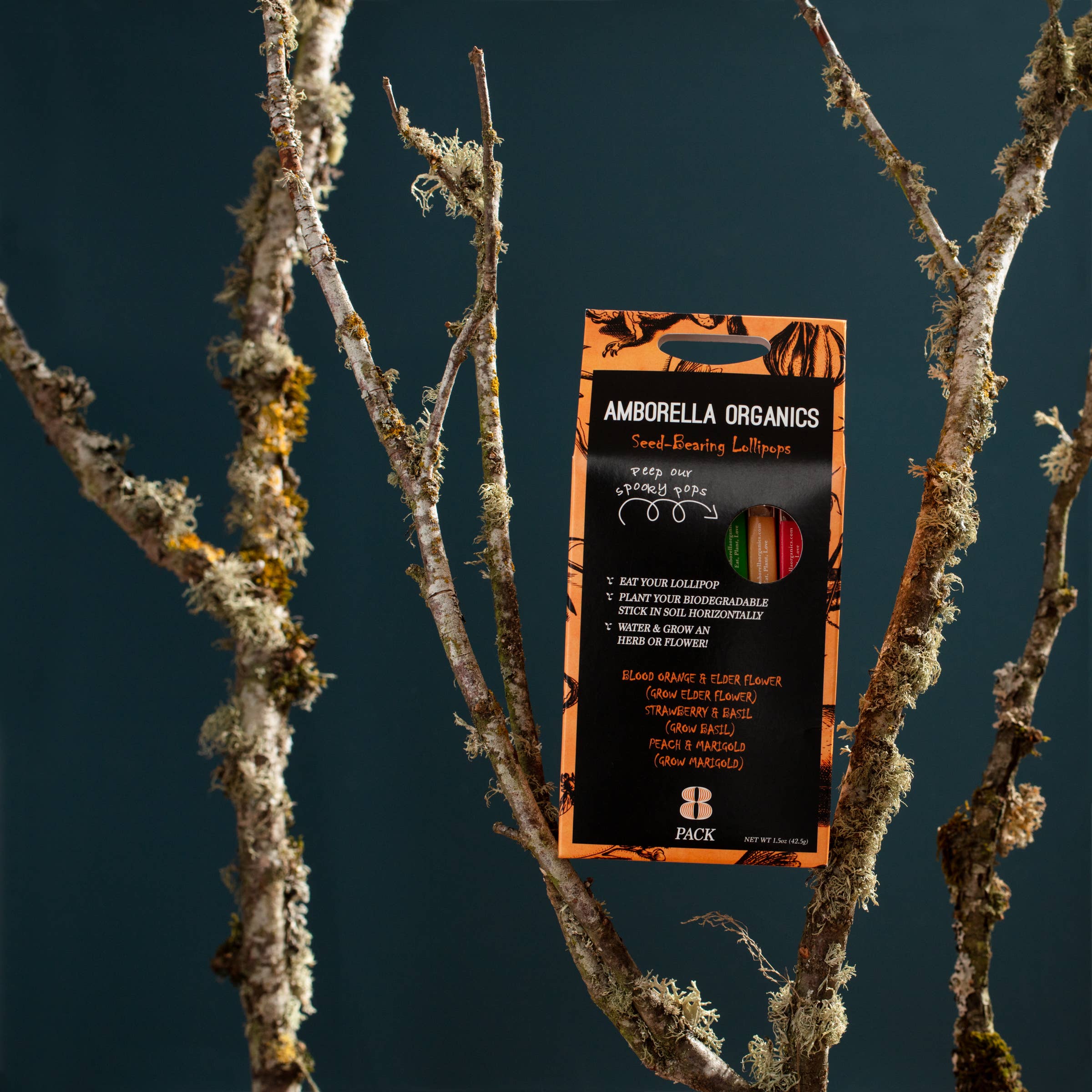 Amborella Organics - Wholesale Lollipop - Halloween Lollipop 8 Pack (Eat, Plant & Grow a Herb/Flower)7