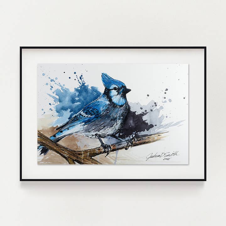 Blue Jay for wholesale by Joshua D. Smith Artist