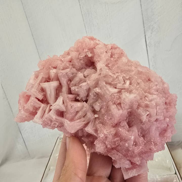 Aquamarine Daydream Wholesale - Wholesale Spiritual Stone/Crystal - 6pc Pink Halite ~ Mineral Specimen ~ Bulk Crystal Flats