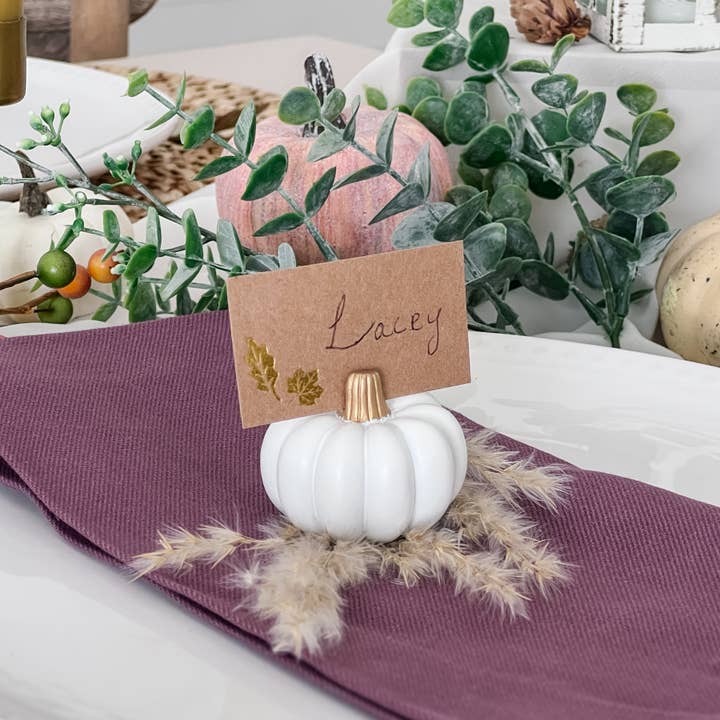 Kate Aspen - Wholesale Place Card / Place Holder - White Pumpkin Place Card Holder (Set of 6)2