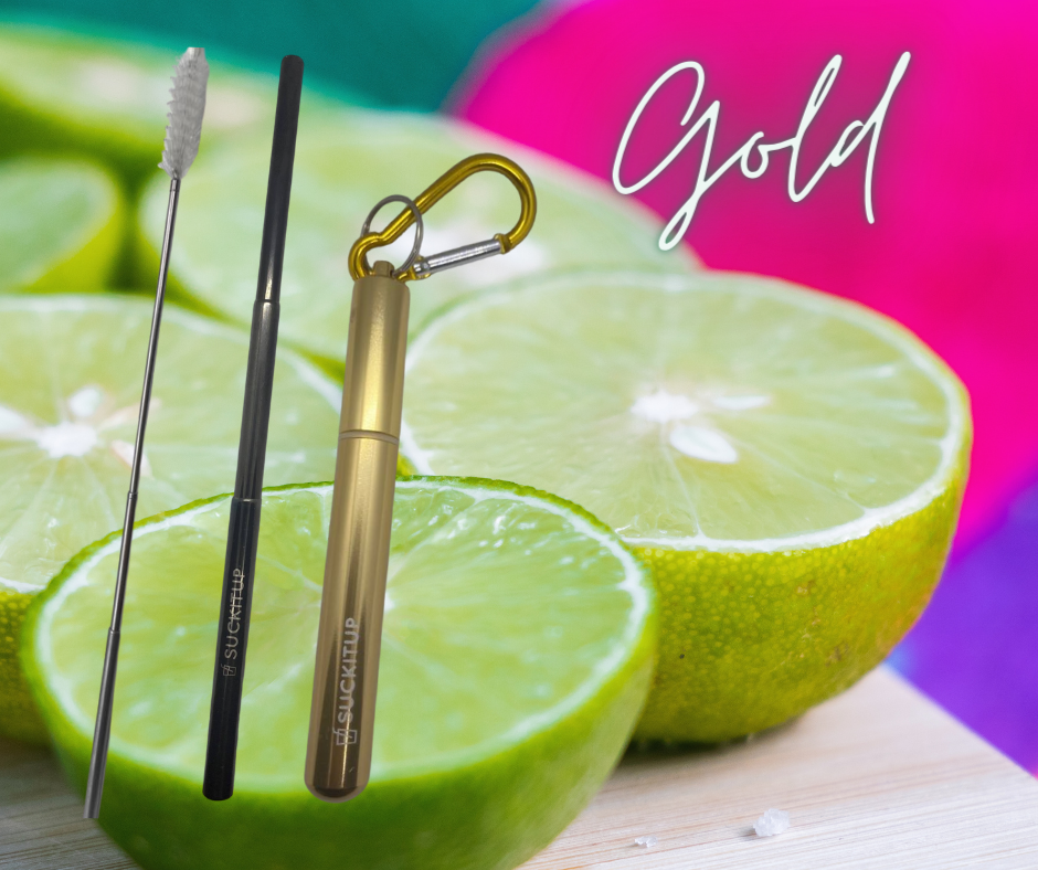 Suck It Up Straws - Vente Paille - Pailles métalliques télescopiques avec étui pour porte-clés et brosse de nettoyage56