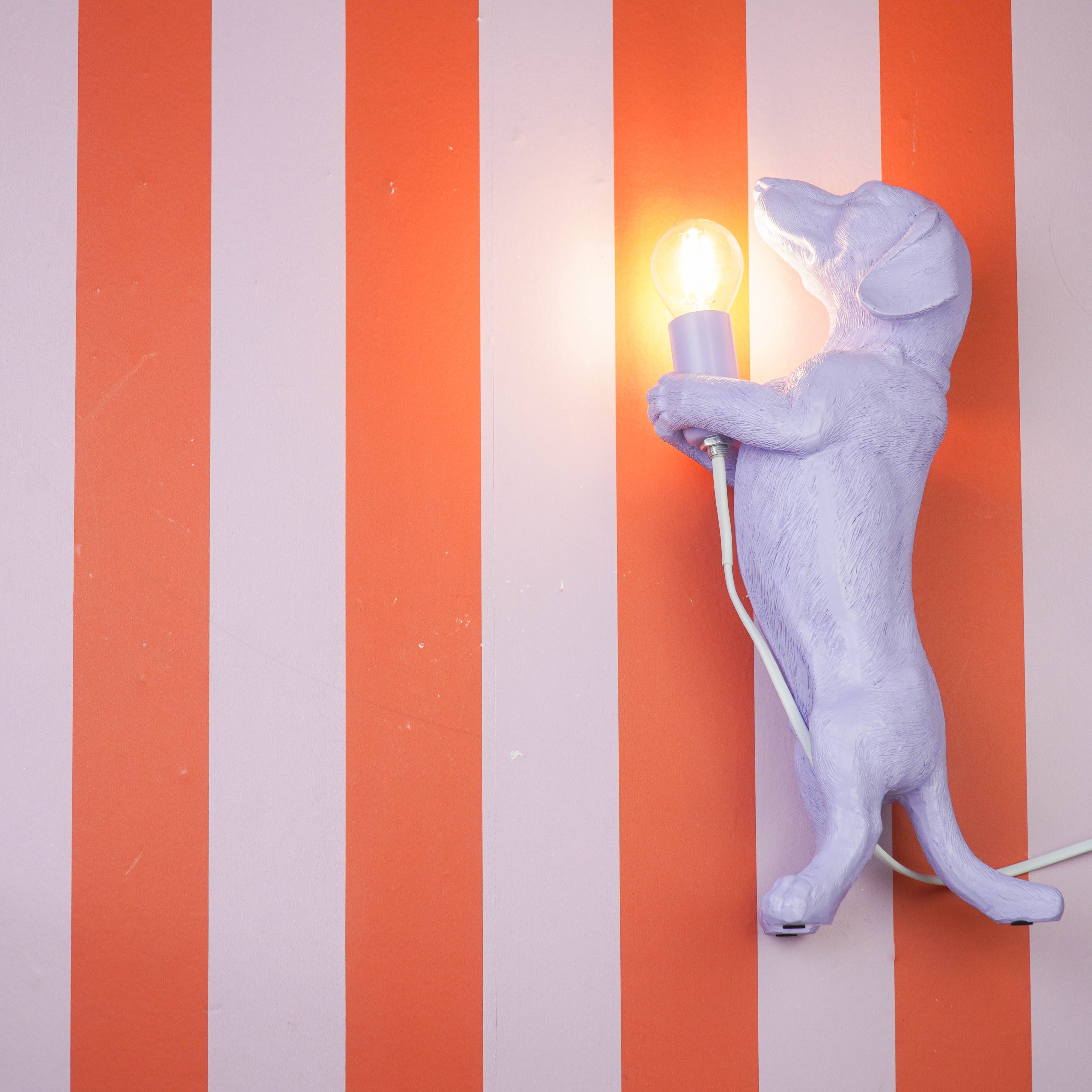 Housevitamin bv - Wholesale Figurine Lamp - Table Lamp - Dachshund - Polyresin - E14 - Lilac- 10x15x38cm8