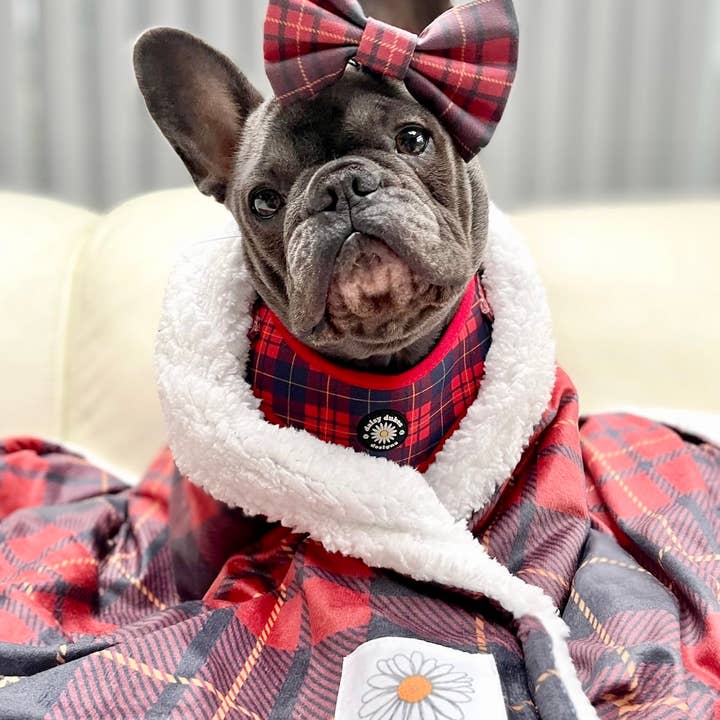 Check Mate Large Fleece Dog Blanket for wholesale by Daisy Dukes Designs
