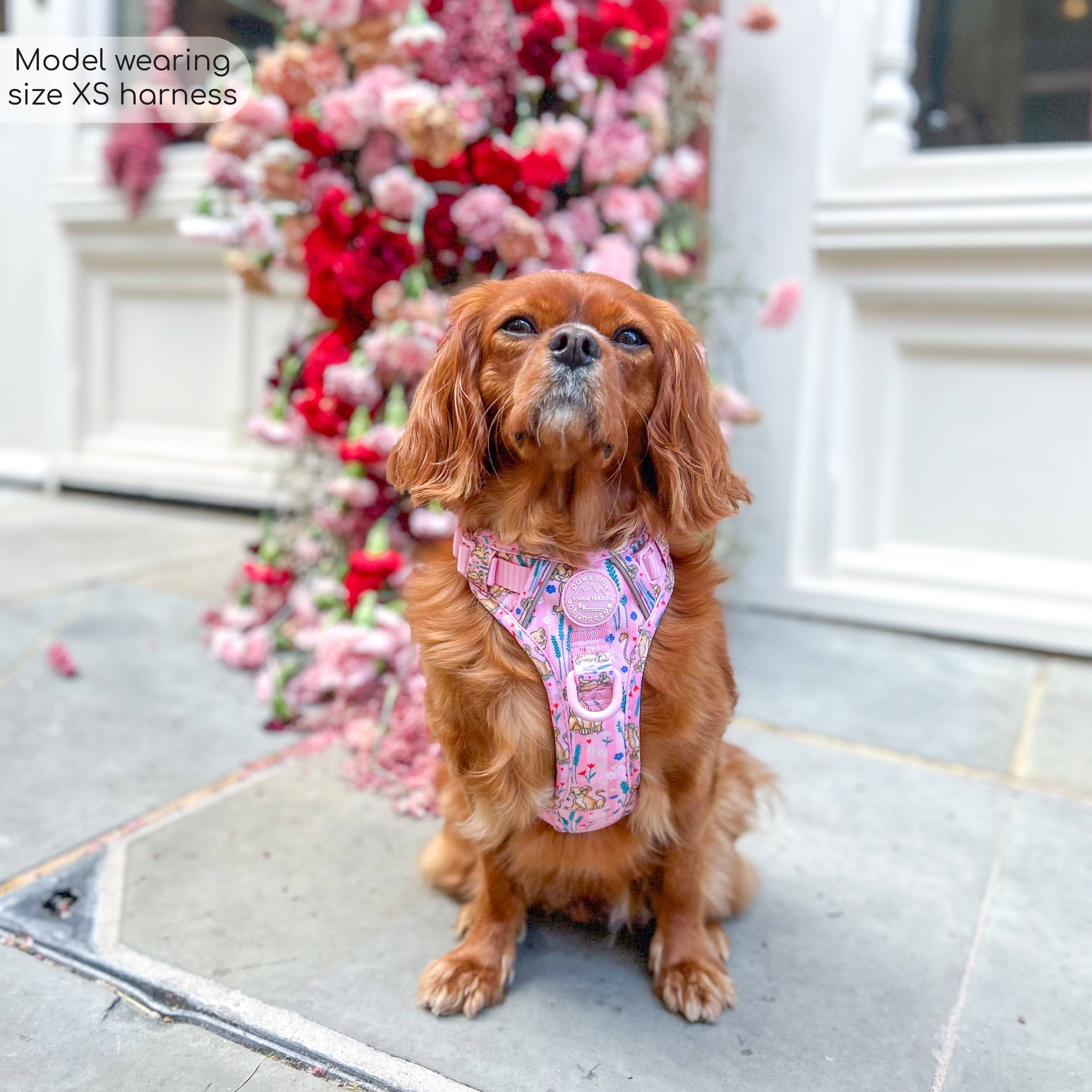 Pawsome Paws - Vendita all'ingrosso Pettorina - Cani - Imbracatura Disney© Tough Trails™ - Nala7