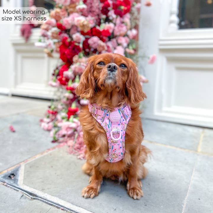 Pawsome Paws - Vendita all'ingrosso Pettorina - Cani - Imbracatura Disney© Tough Trails™ - Nala7